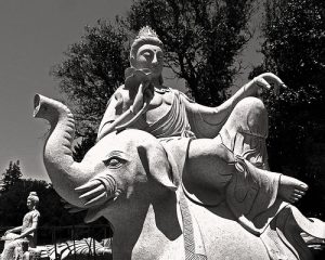 Universal-Sage atop a kingly white elephant with six tusks. 