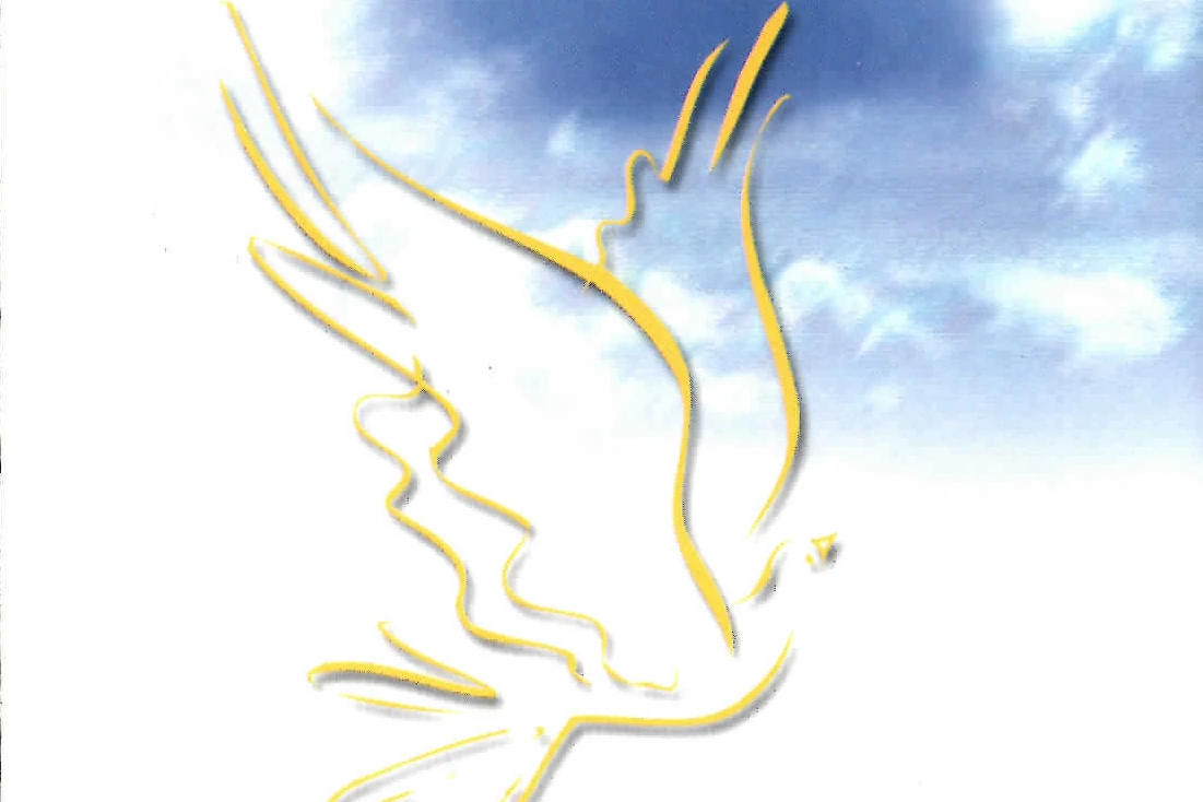 Non-Violence in Buddhism Cover